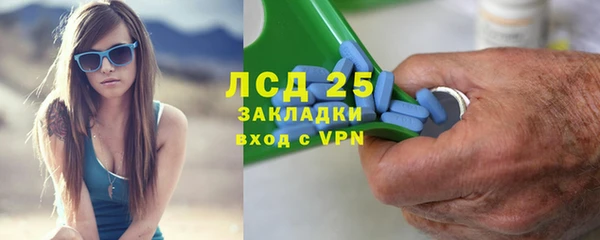 хмурый Абаза