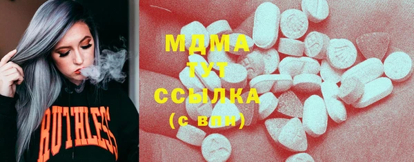 хмурый Абаза